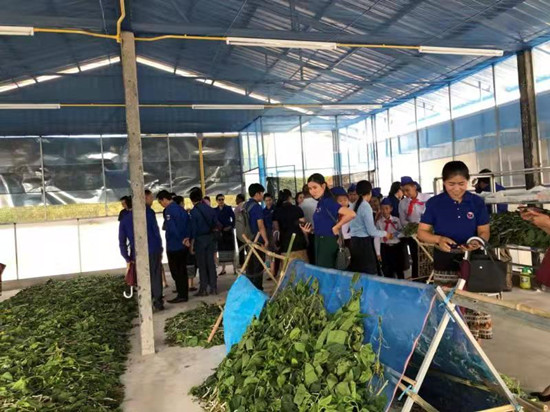 bc贷官网股份技术专家在老挝进行技术指导_副本.jpg